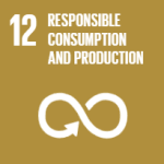 United Nations Global Goal 12, Responsible Consumption and Production